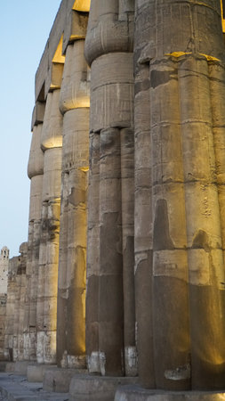 The Botanical Chamber, the Temple of Karnak hieroglyphic of exotic plants and birds wallのeditorial素材