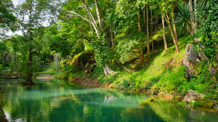 Beautiful emerald green natural lake in Thailand tropical rainforest lush color of water