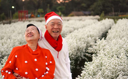 Asian senior eldery couple hug sweater celecrate Christmas and New Year holiday morning in beautiful...