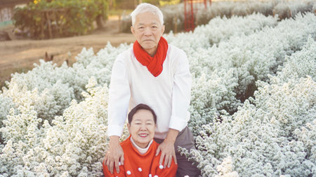 Asian senior elderly couple celebrating Christmas holiday season white flower and red sweater positive happiness emotionの写真素材
