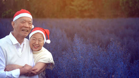 Lovely Asian elder couple Christmas celebration with red santa claus hat in magic purple flower field morningの写真素材