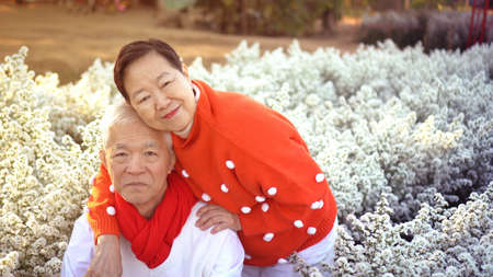 Asian elder old couple in white red holiday christmas theme love hug happy together flower field morningの写真素材