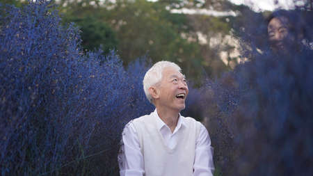 Asian senior couple purple flower field travel love joy and fun abstract shotの写真素材