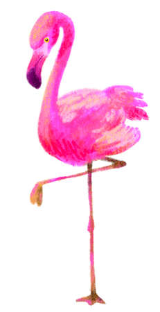 Colorfuk pink and yellow Flamingo bird illustration painting style Summer beach abstract animalの写真素材