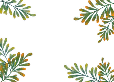 Tropical red green plant elements autumn watercolor hand painting illustration artの写真素材