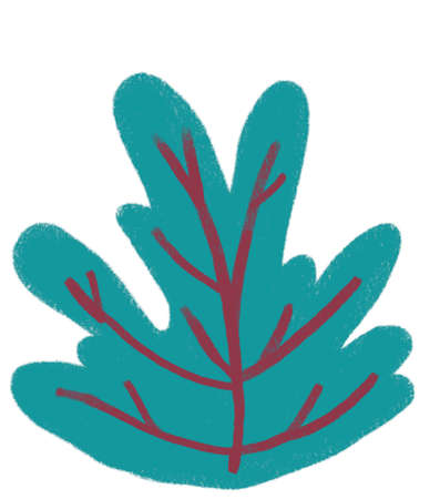 green salad leaf breakfast food set elements hand drawn doodle minimal style pastel color illustration artの写真素材