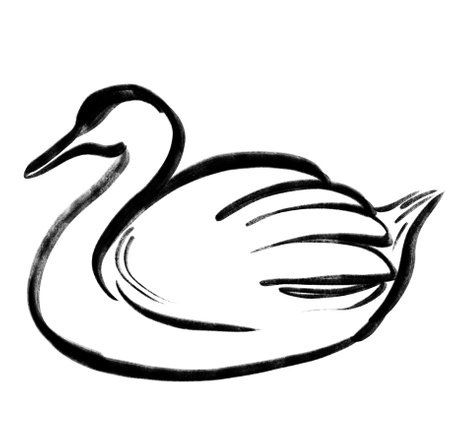 white swan goose calligraphy black ink brush drawing illustration artの写真素材