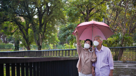 Asian senior elder couple walking in raining park share umbrella romantic love lifestyleの写真素材
