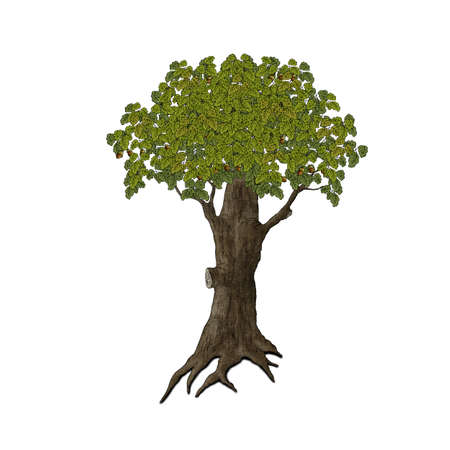 Cartoon tree. Illustration on a white background..