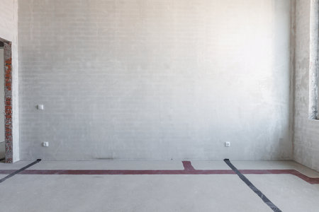 interior of the apartment without decoration in gray colorsの写真素材