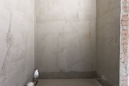 interior of the apartment without decoration in gray colors. rough finishの写真素材