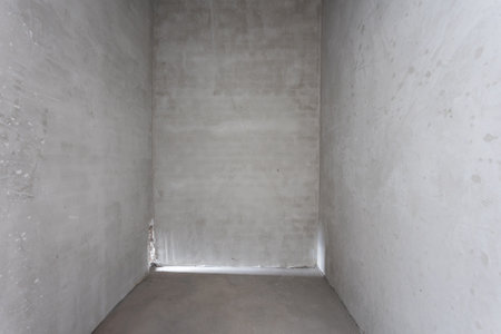 interior of the apartment without decoration in gray colors. rough finish