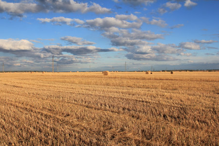 Harvested field with straw bales and sky with clouds.の写真素材