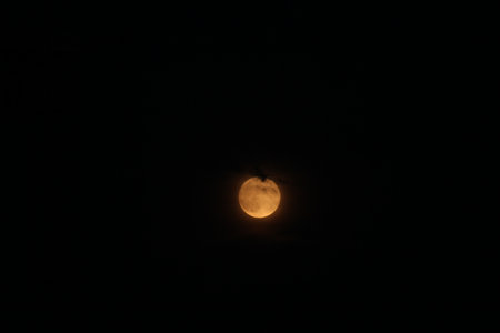 Full moon in the night sky, Thailand. (with clipping path)の写真素材
