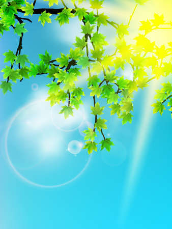 Sun beams and green leaves. EPS10のイラスト素材