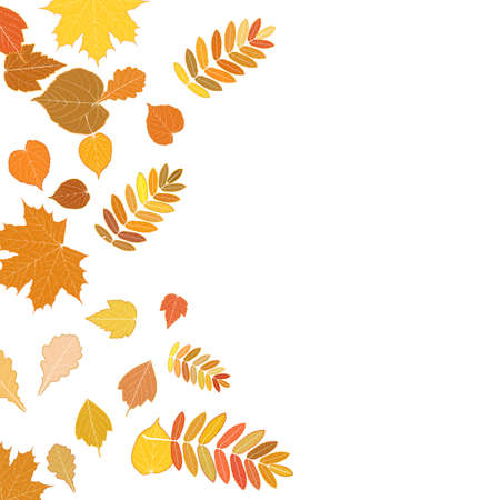 Autumn leaves falling and spinning on white.のイラスト素材