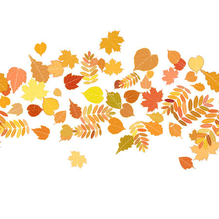 Autumn background with colorful leaves  のイラスト素材