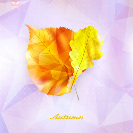 Autumnal leaf background made of triangles Retro background のイラスト素材