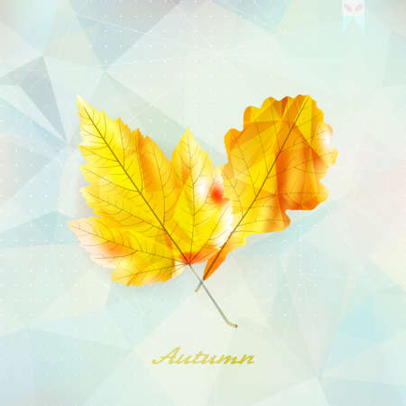 Autumnal leaf background made of triangles Retro background のイラスト素材