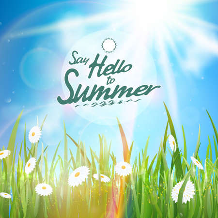 Sunny natural background with sun and grass のイラスト素材