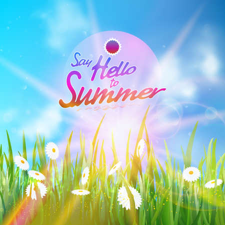 Sunny natural background with sun and grass  のイラスト素材