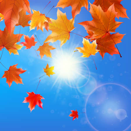 Delicate autumn sun with glare on blue sky のイラスト素材