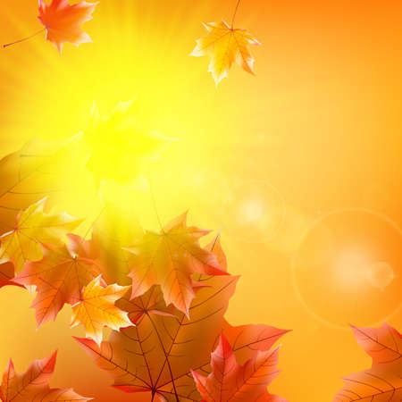 Delicate autumn sun with glare on gold sky のイラスト素材