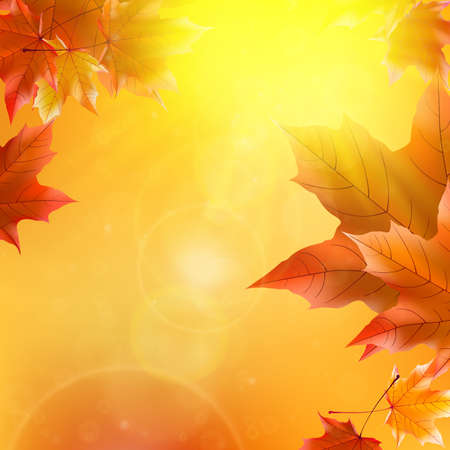 Delicate autumn sun with glare on gold sky のイラスト素材