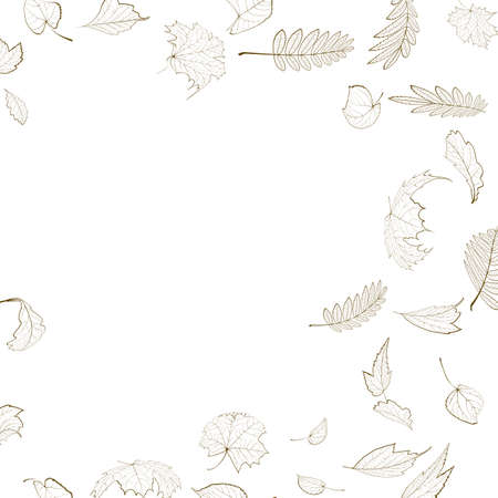 Fall leaf skeletons autumn design template のイラスト素材