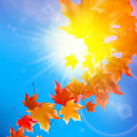 Delicate autumn sun with glare on blue sky のイラスト素材