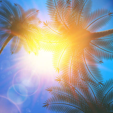 Palm trees and sun in sky のイラスト素材