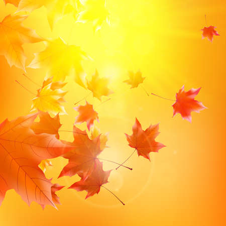 Delicate autumn sun with glare on gold sky のイラスト素材