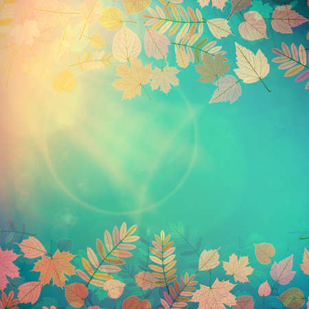 Autumn Colorful red and yellow leaves falling abstract  のイラスト素材