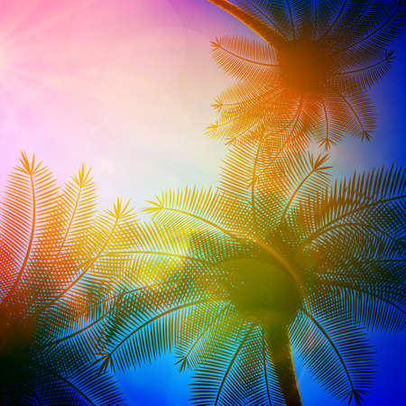 Palm trees with beautiful sunset のイラスト素材