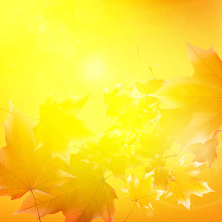 Delicate autumn sun with glare on gold sky. EPS10のイラスト素材