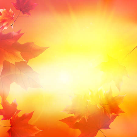 Delicate autumn sun with glare on gold sky  EPS10のイラスト素材