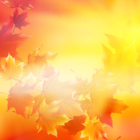 Delicate autumn sun with glare on gold sky  EPS10のイラスト素材