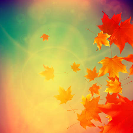 Beautiful autumn Leaves with delicate sunset light  EPS10のイラスト素材
