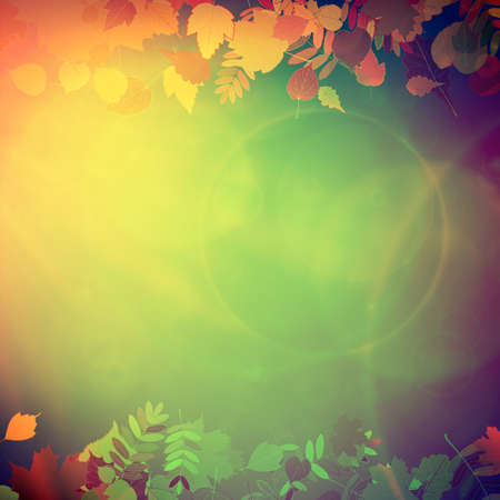 Autumn Colorful red and yellow leaves falling abstract  EPS10