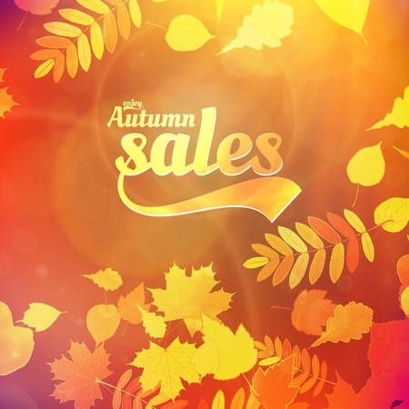 Autumn sale design template  のイラスト素材
