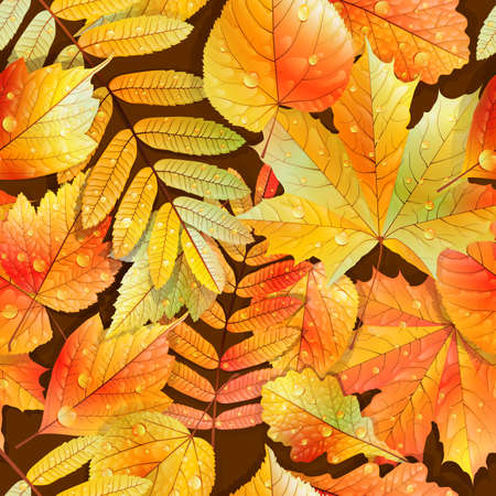 Autumnal swatch ready detailed seamless wet leaves background  EPS10のイラスト素材