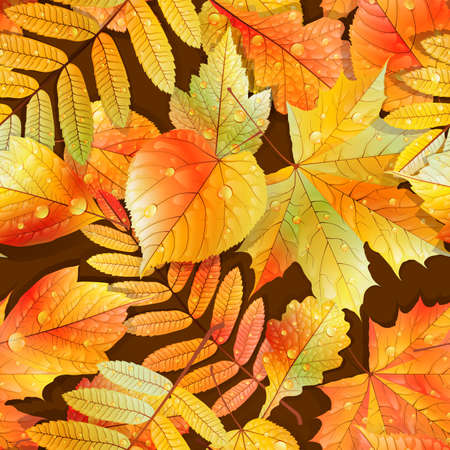 Autumnal swatch ready detailed seamless wet leaves background  EPS10のイラスト素材