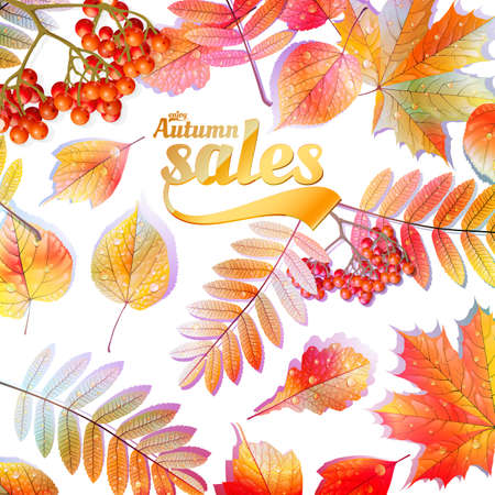 Autumn Calligraphy sale on detailed leafs  EPS10のイラスト素材