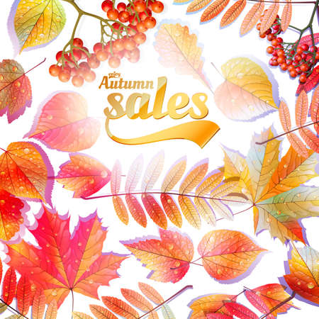 Autumn Calligraphy sale on detailed leafs  EPS10のイラスト素材
