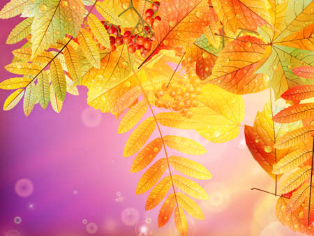 Bright warm sun light, orange dry leaves, autumn season  EPS10のイラスト素材