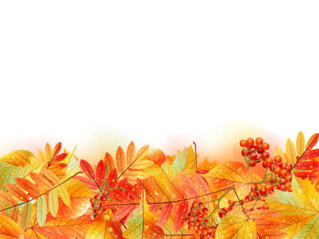 Autumn background with leaves  Back to school  with copyspace  EPS10のイラスト素材