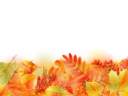 Autumn background with leaves  Back to school  with copyspace  EPS10のイラスト素材