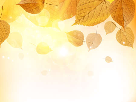 Autumn design background with leaves falling from the tree  EPS10のイラスト素材