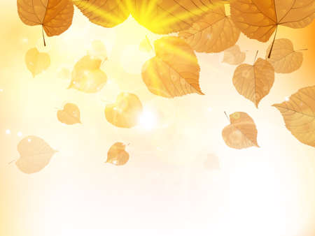 Autumn design background with leaves falling from the tree  EPS10のイラスト素材