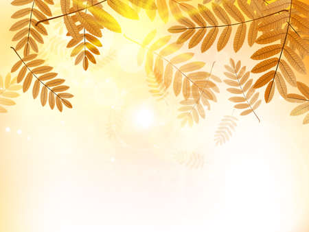 Autumn design background with leaves falling from the tree  EPS10のイラスト素材
